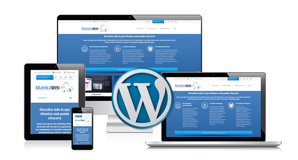 Wordpress Theme Designing